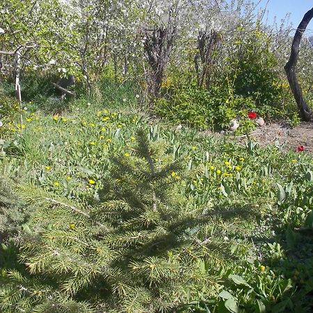 מלון Grigor'yevka Issyk-Kul - Camping Grigoryevka מראה חיצוני תמונה