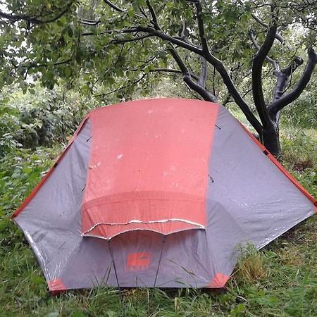 מלון Grigor'yevka Issyk-Kul - Camping Grigoryevka מראה חיצוני תמונה