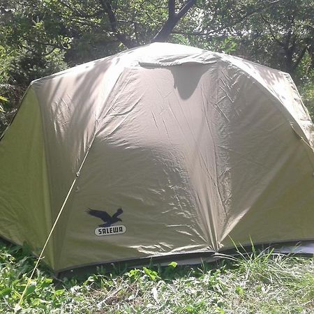 מלון Grigor'yevka Issyk-Kul - Camping Grigoryevka מראה חיצוני תמונה