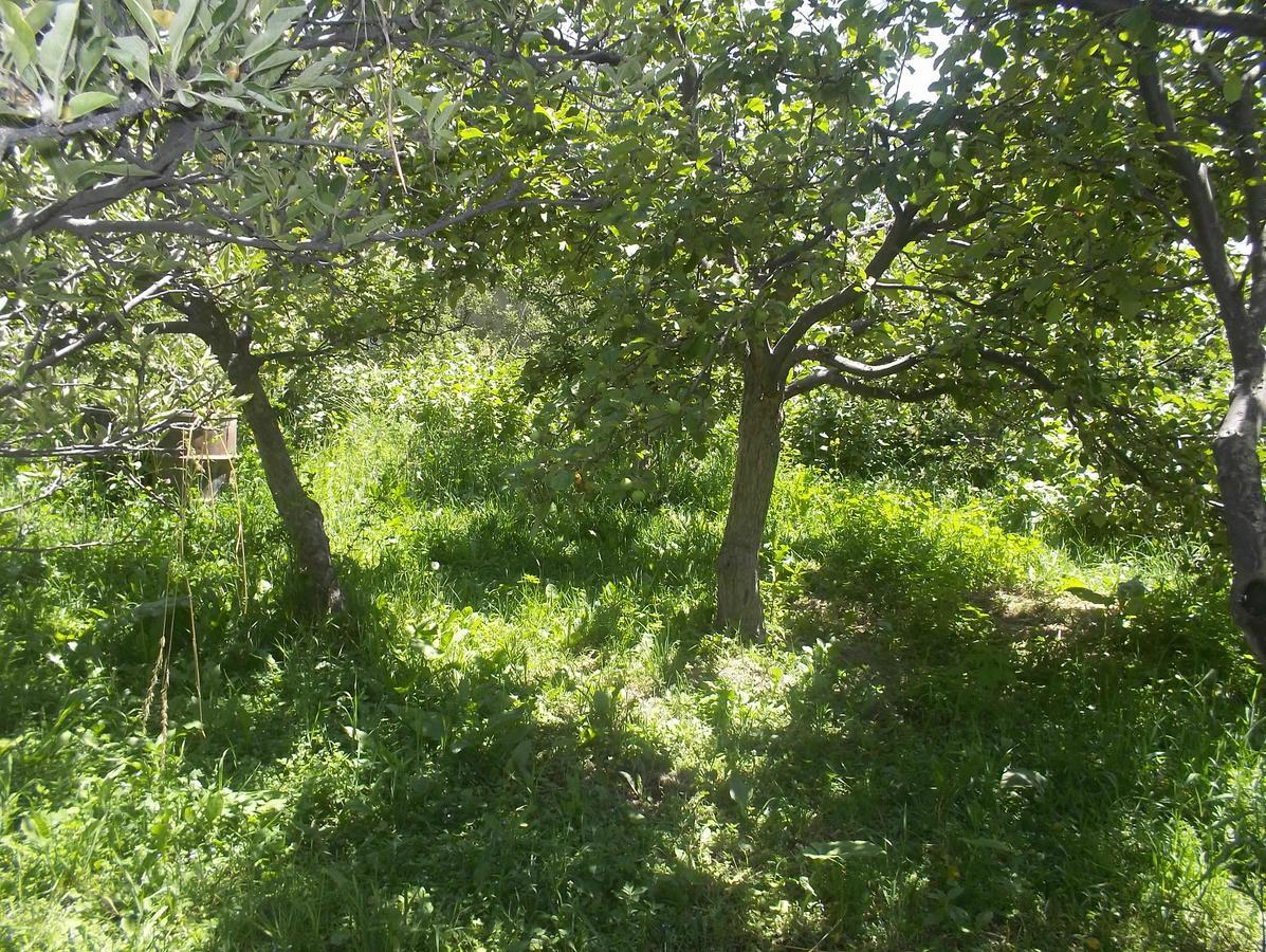מלון Grigor'yevka Issyk-Kul - Camping Grigoryevka מראה חיצוני תמונה