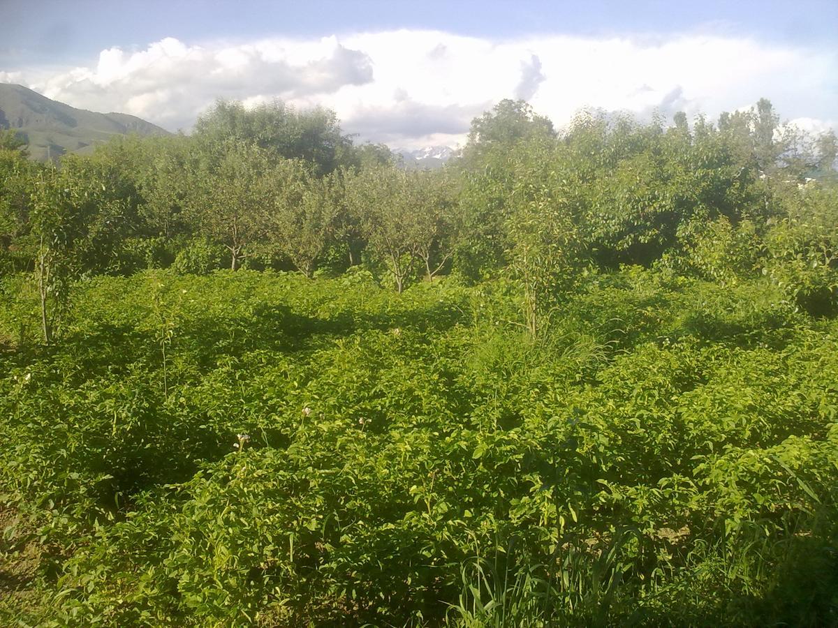 מלון Grigor'yevka Issyk-Kul - Camping Grigoryevka מראה חיצוני תמונה