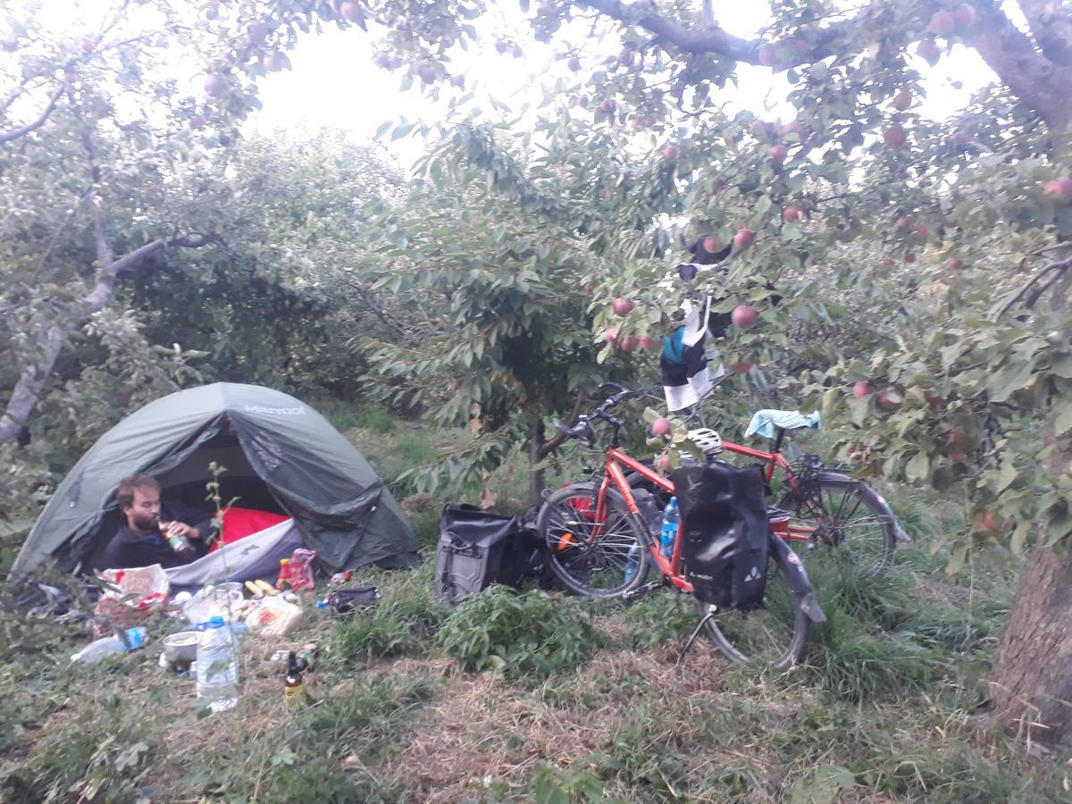 מלון Grigor'yevka Issyk-Kul - Camping Grigoryevka מראה חיצוני תמונה