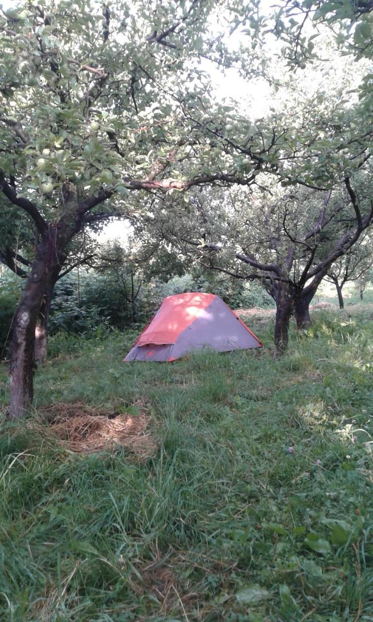מלון Grigor'yevka Issyk-Kul - Camping Grigoryevka מראה חיצוני תמונה