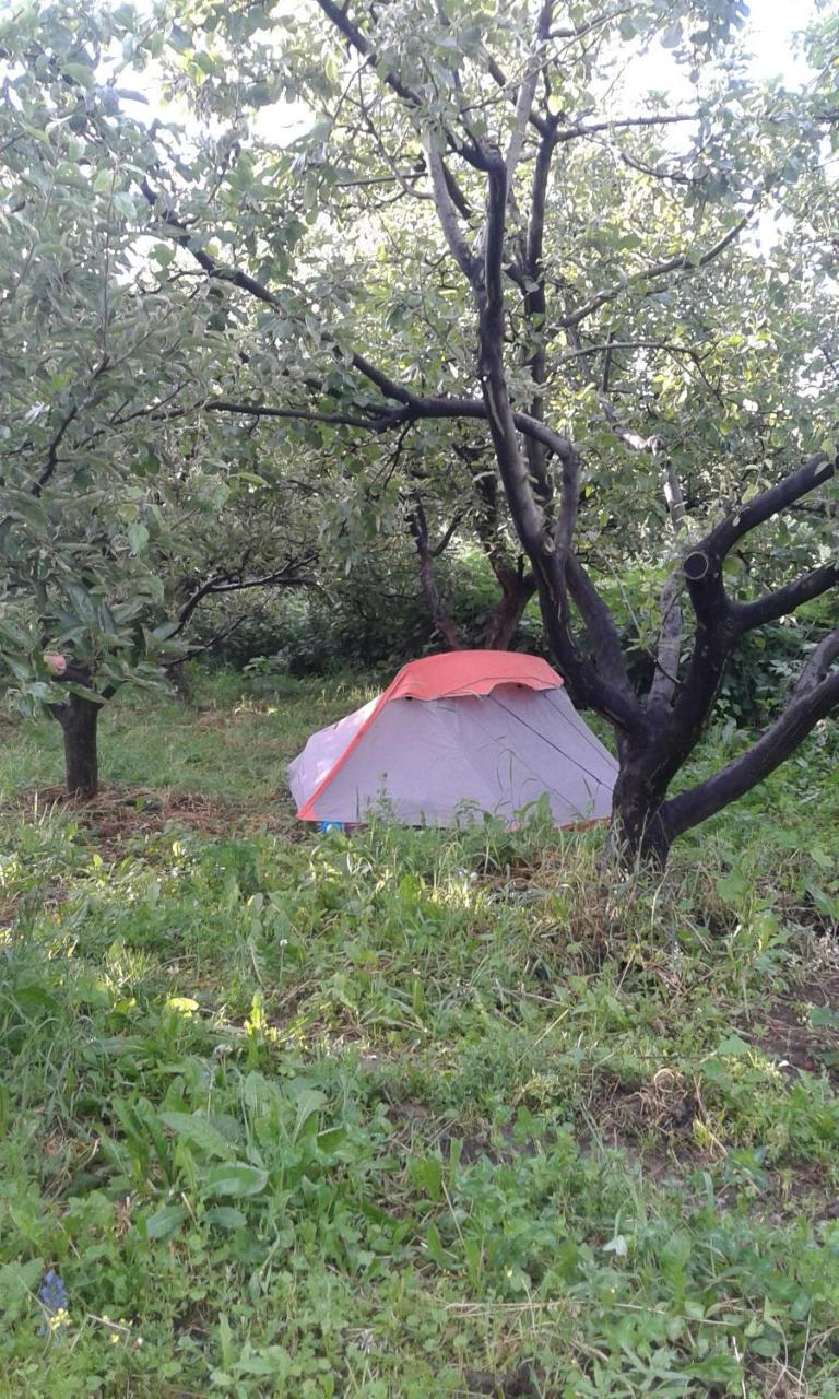 מלון Grigor'yevka Issyk-Kul - Camping Grigoryevka מראה חיצוני תמונה