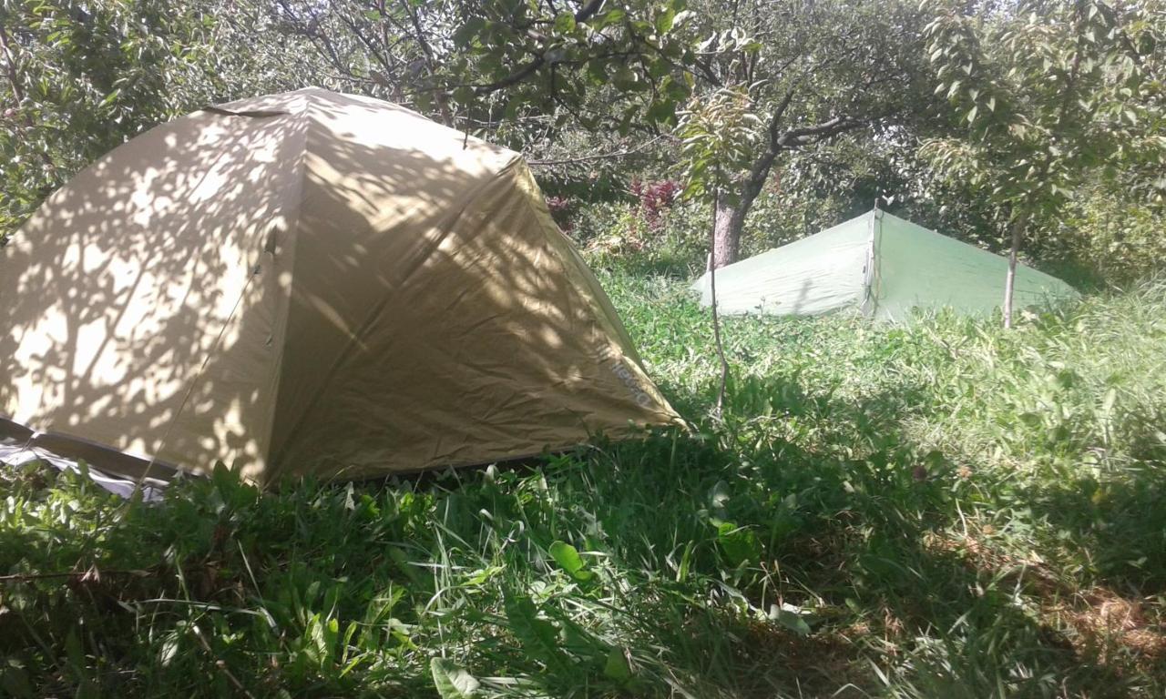 מלון Grigor'yevka Issyk-Kul - Camping Grigoryevka מראה חיצוני תמונה