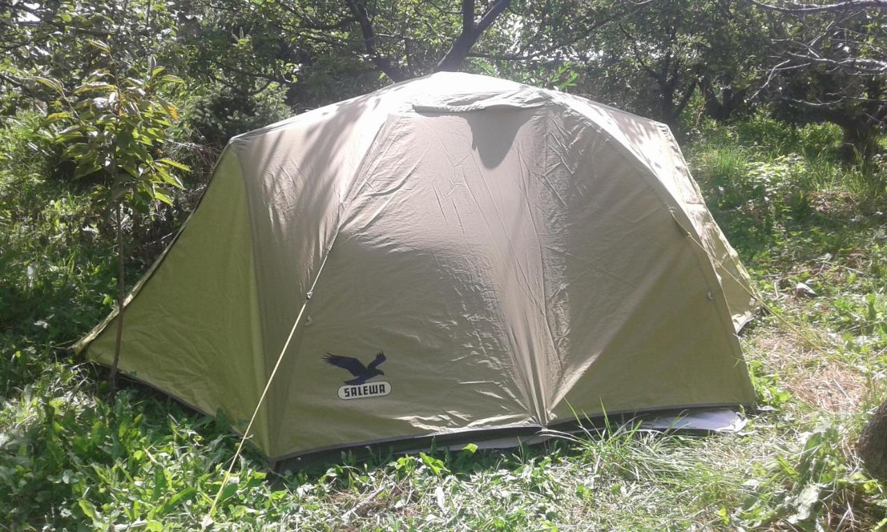 מלון Grigor'yevka Issyk-Kul - Camping Grigoryevka מראה חיצוני תמונה